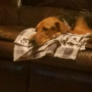 Meet your Posher, Rachel